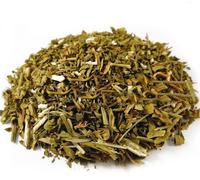 Common Rue, gambo Garden Rue - per ansia e insonnia, Ruta graveolens