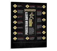 Community Safety Poster - Pedestrian & Bicycle Rules Educational Chart, Informational Wall Art for Public Libraries, Clinics, Office Bulletin Boards(Framed,12x18inch(30x45cm))