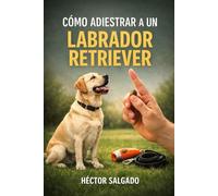 Cómo Adiestrar a un Labrador Retriever