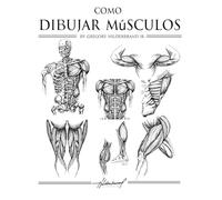 Cómo Dibujar Músculos