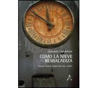 «Como la nieve resbaladiza». Javier Marìas narratore del tempo aliana