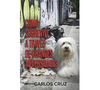 Cómo sobreviví a través de grandes adversidades