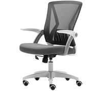 Comoda Sedia Da Scrivania Sedia a ginnastica reclinabile dell'ufficio ergonomico con supporto lombare e sedile regolabile del braccio di lancio Sedie Da Scrivania Per Ufficio