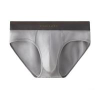 Comodi slip da uomo in modal traspirante, assorbe il sudore, slip sportivi, elastici a vita media, adatti per uomini attivi (2XL grigio)