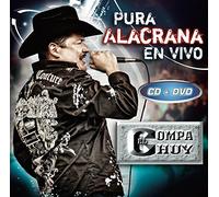 Compa Chuy - Pura Alacrana en Vivo
