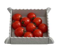 Compact Foldable Chopping Board - Multi Purpose Kitchen Tool for Cooking | Flexible Design with Anti Skid Base, Easy Storage and Portability, Food Safe Material, Kitchen Tools for Slicing Dicing