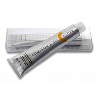 Compagnia del Colore - 5.00 CASTANO CH.NAT.EX.INT