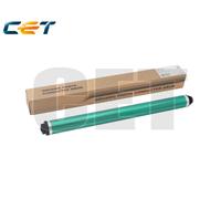 Ricoh Parts&Toner Cyan - RICE101069