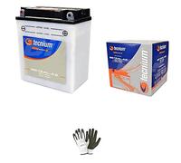 COMPATIBILE CON APRILIA Atlantic 200 2003 A 2008 BATTERIA GIA' PRONTA ALL'USO YB12AL-A2 12V 12 AH BATTERIE 12 AMPERE 12 VOLT SPECIFICA MOTO SCOOTER 134X80X160MM