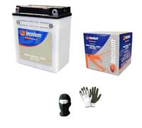 COMPATIBILE CON APRILIA Leonardo 150 1996 A 1998 BATTERIA YB12AL-A2 12V 12 AH BATTERIE 12 AMPERE 12 VOLT PRONTA PER L’UTILIZZO SPECIFICA MOTO SCOOTER 134X80X160MM