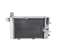 Compatibile Con Aprilia Per RSV2 1000 Per SL1000 Per Falco 2000 2001 2002 2003 Radiatore Di Raffreddamento Motore Sostituisce Il Numero OEM: AP8102951 Radiatore Per Motocicletta