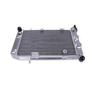 Compatibile Con Arctic Per Cat Per DVX400 2003 2004 2005 2006 2007 2008 Radiatore In Alluminio Radiatore Troppo Pieno Serbatoio Del Liquido Raffreddamento Serbatoio Radiatore Per Motocicletta