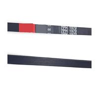 Compatibile Con ASKO, TD11 T700 T701 T711 T712 T731 8065710 7PH1970 Essiccatore A Cinghia Di Trasmissione(7PH1970-2pcs)