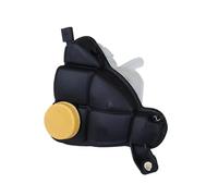 Compatibile Con Benz Per W251 Per R320 Per R350 Per R500 Per R550 Per R63 Ricambi Auto Serbatoio Liquido Raffreddamento Motore Serbatoio Espansione OE: 2515000049 Serbatoio Espansione Liquido