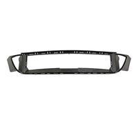 DIEDERICHS ZUB00218 Supporto, Paraurti