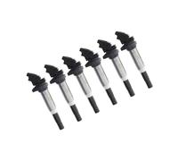 Compatibile Con BMW Per X5 2000-2018 Per X6 2008-2019 Set Di Bobine Di Accensione Da 6 Pezzi OEM: 12138616153 Bobina Accensione Parti