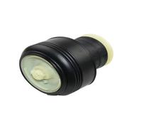 Compatibile Con BMW Per X5 Per XDrive 35d 2009-2013 Per 48i 2009-2010 Ammortizzatore Per Borsa A Sospensione Pneumatica Per Veicoli 37126790078 Coppia Molle Sospensioni ad Aria