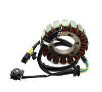 Compatibile Con Cagiva Per Raptor 1000 Per V Per Raptor 1000 2000 2001 2002 2003 2004 2005 Bobina Statore Magnete Generatore Moto 800096391 statore delle bobine