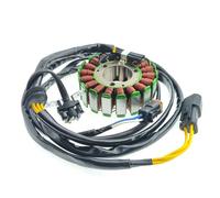 Compatibile con Can-Am DS450 DS 450 2008 2009 2010 2011 2012 2013 2014 2015 Statore bobina di accensione elettrica magnetica 420296323