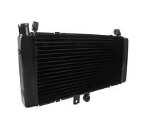 Compatibile Con CB900 Per CB919F Per Hornet 900 2002 2003 2004 2005 2006 2007 Radiatore Per Motocicletta Protezione Di Raffreddamento Serbatoio Dell'acqua Radiatore Per Motocicletta