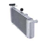 Compatibile Con CBR300R 2015 2016 2017 2018 2019 2020 2021 2022 Radiatore Motore Radiatore Di Raffreddamento Serbatoio Di Raccolta Del Liquido Di Raffreddamento Radiatore Per Motocicletta