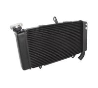 Compatibile Con CBR500R Per CBR500RA Per ABS 2019 2020 2021 2022 2023 Parti Ricambio Radiatore Raffreddamento Serbatoio Dell'acqua Raffreddamento Serbatoio Refrigerante radiatore dell'acqua moto