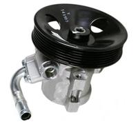 Compatibile Con Chevrolet Per Captiva C100 C140 2.4 2006 2007 2008 2009 2010 2011 Pompa Servosterzo 4817324 4807074 96626563 Pompa Idraulica Sterzo