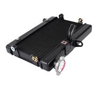 Compatibile Con CMX500 Per CM500 2017 2018 2019 2020 2021 2022 2023 Radiatore Motore Raffreddamento Radiatore Serbatoio Acqua Serbatoio Di Raccolta Del Liquido Radiatore Per Motocicletta