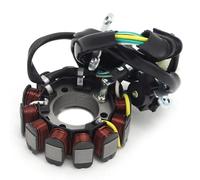 Compatibile Con CRF250 Per CRF250R 2013 Bobina Statore Magnete Moto Bobina Statore Accensione Moto 31120-KRN-A71 statore delle bobine