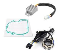 Compatibile Con CRF250 Per CRF250X 2004-2019 Kit Guarnizione Bobina Statore E Regolatore Raddrizzatore Per Moto 31100-KSC-671 31100-KSC-A11 Bobina dello statore