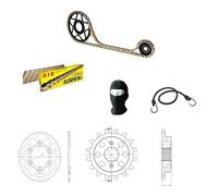 COMPATIBILE CON DUCATI Monster 750 (M100AA) 2001 KIT TRASMISSIONE CATENA CORONA PIGNONE PER MOTO DID 520VX3 LUN 100 MAGLIE,CORONA ACCIAIO P520-Z41,PIGNONE P520-Z15 SPECIFICO