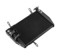 Compatibile Con Ducati Per Hypermotard 821 2013 2014 2015 Radiatore Per Moto Raffreddamento Raffreddamento Motore Serbatoi Di Espansione Del Liquido Di Raffreddamento radiatore dell'acqua moto