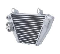 Compatibile Con Ducati Per XDiavel Per Dark Per Nera 2021 2022 Moto Radiatore In Alluminio Olio Raffreddamento Serbatoio Refrigerante Serbatoi Radiatore Per Motocicletta