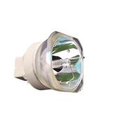 Compatibile con Epson EB-2055/EB-2065/EB-2155/EB-2155W/EB-2165W/EB-2245U/EB-2250/EB-2250U Lampada for proiettore V13H010L95(V13H010L95)