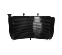 Compatibile Con F4 1999-2000 Radiatore Motore Della Motocicletta Serbatoio Dell'acqua Radiatore Raffreddamento Protezione Liquido Raffreddamento Serbatoio Liquido Radiatore Per Motocicletta