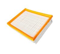 Compatibile Con FESTOOL, Filtro Aria For Aspirapolvere 36AC, Elemento Filtrante For Raccoglipolvere, Griglia Aria For Aspirapolvere, Macchina For Carta Vetrata