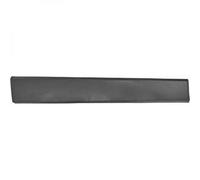 COMPATIBILE CON FIAT GUIDA PORTIERA DESTRA TRAFIC, STRISCE DECORATIVE