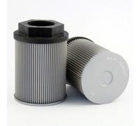 Compatibile Con Fluido Potenza Express LH070045 Filtrec Ricambio FS142B9T125 Alt