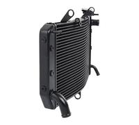 Compatibile Con FZS1000 2006 2007 2008 2009 2010 2011 2012 2013 2014 2015 Radiatore Per Motocicletta Radiatore Serbatoio Di Raccolta Del Liquido Raffreddamento Radiatore Per Motocicletta