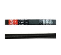 Compatibile con Galanz, compatibile con Electrolux, cinghia for asciugatrice 6PH1930 7PH1930 6PH1950 7PH1950 7PH1951(7PH1951)