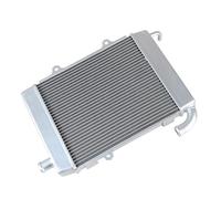 Compatibile Con GL1800 2018 2019 2020 2021 2022 2023 Accessori Per Moto Radiatore Raffreddamento Serbatoio Dell'acqua Protezione Serbatoi Refrigerante 1 Pz Radiatore Per Motocicletta(Left)