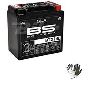 COMPATIBILE CON HARLEY DAVIDSON XLN Iron 883 2010-2019 BATTERIA GIA' PRONTA ALL’USO BS BTX14L BS SLA CARICATA SIGILLATA BATTERIE 12 AH AMPERE 12 VOLT 150X87X145MM