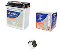 COMPATIBILE CON HONDA 600 XL V Transalp 1991 BATTERIA GIA' PRONTA ALL'USO TECNIUM JIS YB12A-B 12 V 12,0 AH BATTERIE 12 AMPERE SPECIFICA MOTO SCOOTER 113X70X105MM