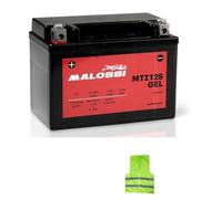 COMPATIBILE CON HONDA NSS Forza DCT ABS E5 750 per anno 2021 al 2023 BATTERIA YTZ12S MALOSSI MTZ12S IN GEL FORNITA CARICA E PRONTA ALL’USO BATTERIE ATTIVE 11 AH AMPERE 12 VOLT 150X88X110MM