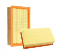 Compatibile con il filtro HEPA for aspirapolvere Kärcher for i modelli NT65/2 NT72/2 NT25 NT35 SE3001 MV4 MV5 MV6(B (2Pcs))