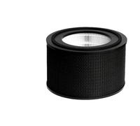 Compatibile con il purificatore d'aria Philips AC4220 AC4221 AC4228 Filtro aria a carbone attivo combinato HEPA 4200 FY4200
