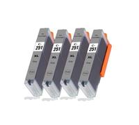 Compatibile con il set di cartucce d'inchiostro Canon PGI-250 CLI-251 for stampanti PIXMA MG6320, MG7120, MG7520, IP8720, IP7220, MX722, MX922, IX6820, MG5420, MG5422(CLT251 4GY)