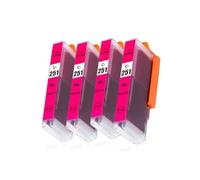 Compatibile con il set di cartucce d'inchiostro Canon PGI-250 CLI-251 for stampanti PIXMA MG6320, MG7120, MG7520, IP8720, IP7220, MX722, MX922, IX6820, MG5420, MG5422(CLT251 4M)