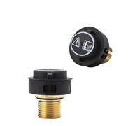 Compatibile con Kach Compatibile con Kärcher SG4/4 Parti for pulitori a vapore CTK10 Valvola di sicurezza in ottone SC2/SC4/SC5/SV1802(For SC4 SC5)