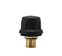 Compatibile con Kach Compatibile con Kärcher SG4/4 Parti for pulitori a vapore CTK10 Valvola di sicurezza in ottone SC2/SC4/SC5/SV1802(For SC1 SC2 CTK10)